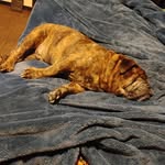 Samuel Kitchen - @jerk4136 - Instagram