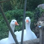 Samuel Kitchen - @kitchens0383838 - Instagram