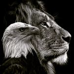 sam kite - @samuel_kitegile - Instagram