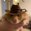 samuelkitelinger - @samuelkitelinger - TikTok