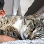 Sammy 05 - @samuelkendrickknaus - Instagram