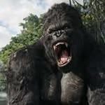 Samuel Paul Kneeland - @samuelkneeland - Instagram
