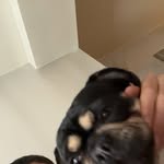 Samuel Knowles - @samuelknowles131 - Instagram