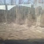 Samuel Koons - @samuelkoons - Instagram