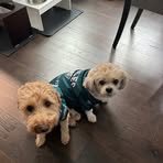 Sam Kravitz - Facebook