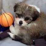 Samuel Kravitz - @bamsamss - Instagram