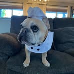 Samuel Kravitz - Facebook
