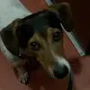 Samuel KRON - @sadfadfaodvjioiadvmoasdm - TikTok