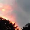 sammysammysam - @samuelkurth2 - TikTok