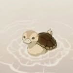 Samuel Kurth - @sammy_duck07 - Instagram