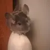 Kyle Samuel - @kyle.samuel1 - TikTok