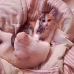 Samuel Labonte - @labonteterry331 - Instagram