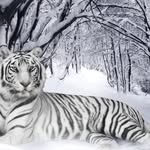 Samuel Labonte - @samuel.labonte.796 - Instagram