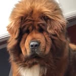Samuel Labrie - @samuel.labrie1 - Instagram