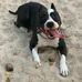Samuel Lain - Facebook