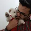 Samuel Lamas - @samuellamasa - TikTok