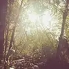 samuel mariuzza - @samuelland - TikTok