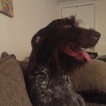 Landis - @landis_samuel - Instagram