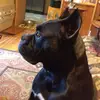 Samuel Landis - @2155640087 - TikTok