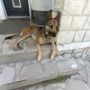 Samuel latrerrel - @samuel.landis - TikTok