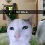 Samuel Langer - @sam_lang3r - Instagram