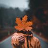 Samuel Langer - @sam.langer - TikTok