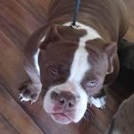 Samuel Langston - @300k582 - Instagram