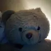 croûton panda - @samuellanier5 - TikTok