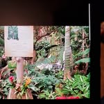 Samuel Lanier - @samuel.lanier.522 - Instagram
