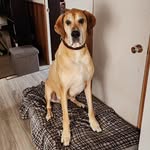 Samuel Lapointe - @sam_lap45 - Instagram