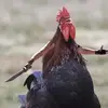 Itsamz4 - @samuellarkin5 - TikTok