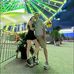 Sam Larkin - Facebook