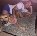 Sam Larkin - Facebook