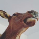 Samuel Latimore - @latimoresamuel - Instagram