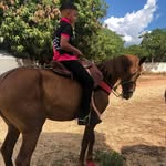 Samuel Leal - @samuel_leal0709 - Instagram
