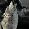 samuel Leal - @samuel701pro - TikTok