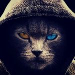 Samuel lehmann - @samy_xd_lol - Instagram