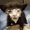 samuellemons - @samuellemons - TikTok