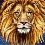 Samuel Leone - @samueletemovic3 - Instagram