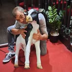 Samuel Leroy - Facebook