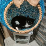 Samuel Leroy - Facebook