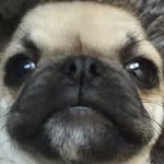 Samuel Leroy Jackson - @leroythejug - Instagram