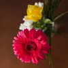 Samuel Leroy Jackson - @samuel.leroy.jack72 - TikTok