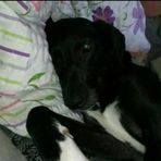 Samuel Liedtke - Facebook
