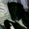 Samuel Liedtke - @samuel.liedtke - TikTok