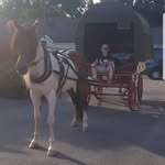Samuel light - @samuel_light16 - Instagram