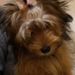 Samuel Lilly - @samu_lilly - Instagram