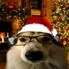 Samuel Limon - @samuel.limon3 - TikTok