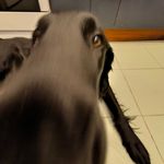 Samuel Lindeman - @samppa122 - Instagram