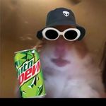 Samuel - @samuellindquistjensen85 - Instagram